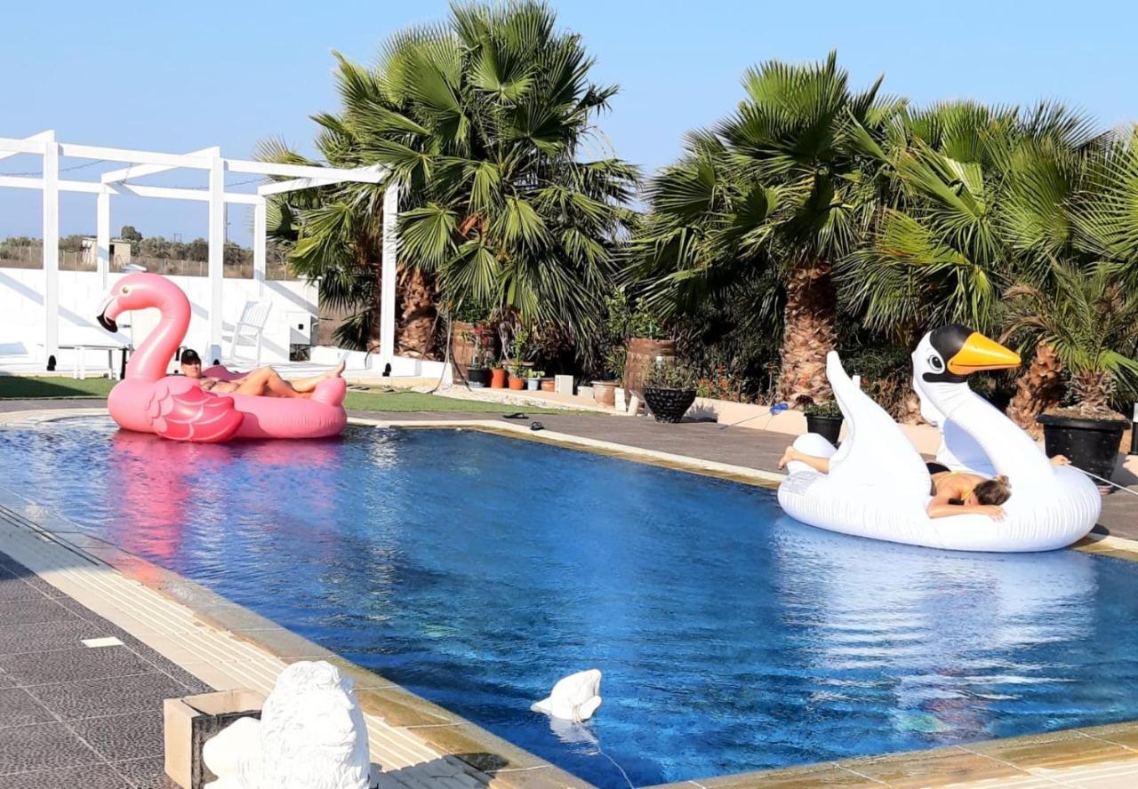 The Pervoli Studio - Pool - Close To Beach Larnaka Exterior foto